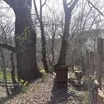 Cosy Prázdninový dům