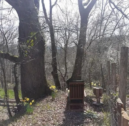 Cosy Σπίτι διακοπών